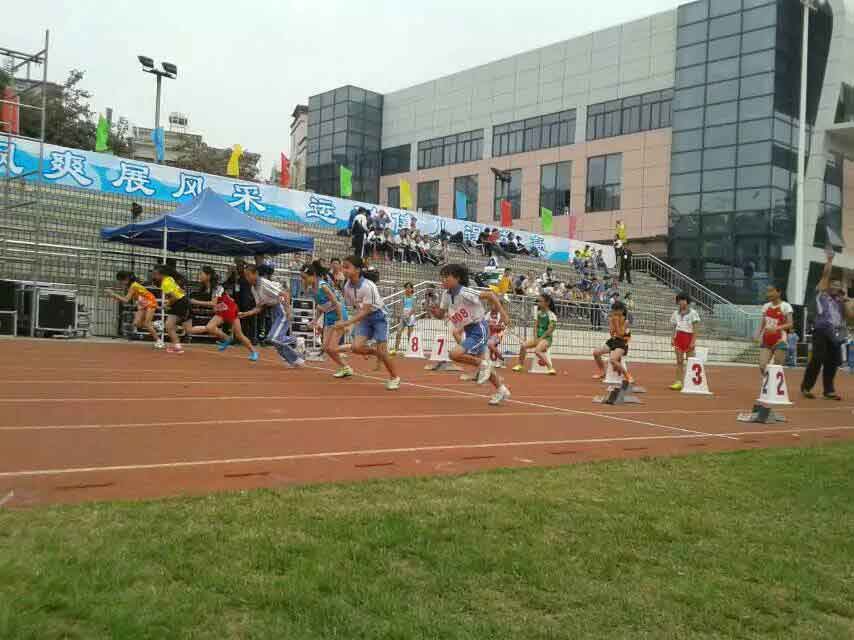 深圳市龙华新区中小学生田径运动会